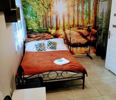 Augustow Apartment | Apartamenty w Puszczy