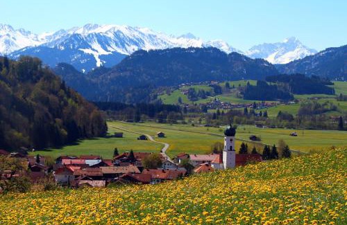 Immenstadt im Allgaeu Apartment | Aparte 3-Zi-Wohnung im Oberallgäu direkt am Berg!