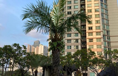 Jakarta Apartment | Apartemen Batavia 807