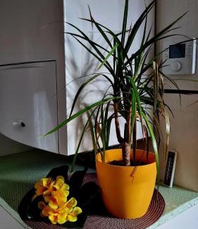 Nordhausen Apartment | Apartement *Harzblick*