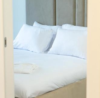 Druskininkai Apartment | Aparthotel Nemunas