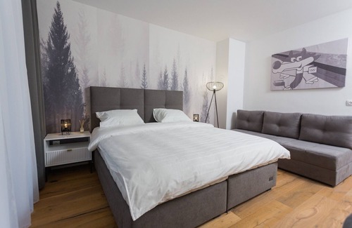 Bjelasnica Apartment | Aparthotel Phoenix - Studio Apartment with Terrace L 205