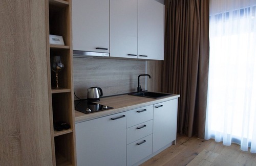 Bjelasnica Apartment | Aparthotel Phoenix - One Bedroom Apartment with Mountain View XL 403