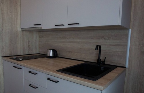 Bjelasnica Apartment | Aparthotel Phoenix - One Bedroom Apartment with Mountain View XL 403