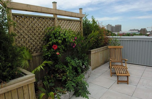 Quartier des Spectacles Condo | ApartHotelMontreal - 222512 , Sunrise Suite 404 n