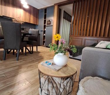 Banska Stiavnica Apartment | Apartmán Akademik