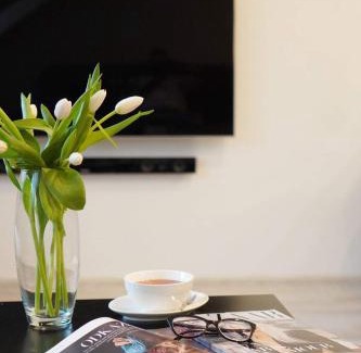 Karlovy Vary Apartment | Apartmán Amici