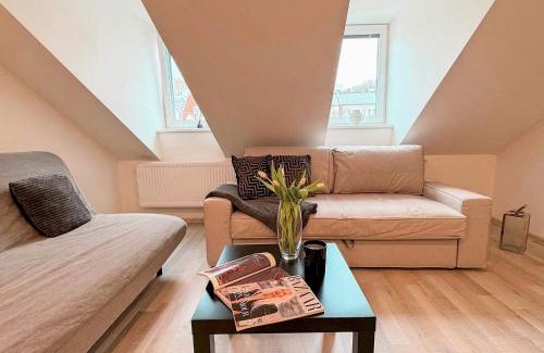 Karlovy Vary Apartment | Apartmán Amici