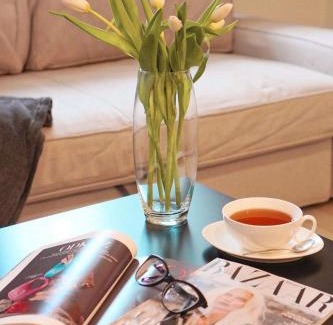 Karlovy Vary Apartment | Apartmán Amici
