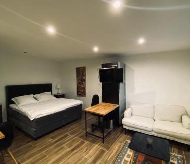Nove Mesto Bed & Breakfast | Apartmán Ginko I