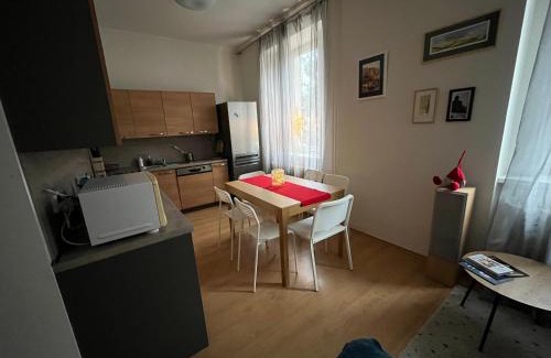 Karlovy Vary Apartment | Apartmán Raisova 1180