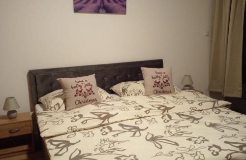 Korenov Apartment | Apartmán Resident Harrachov and Wellness