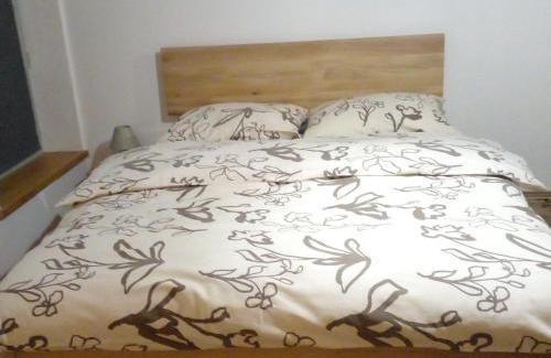 Korenov Apartment | Apartmán Resident Harrachov and Wellness