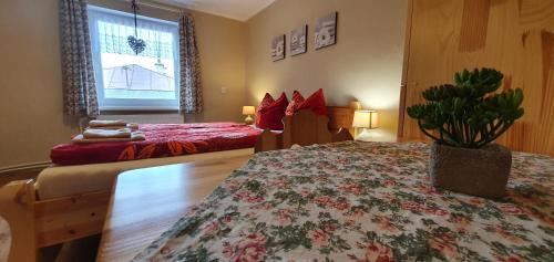Zdiar House | Apartmán u Babičky Ždiar