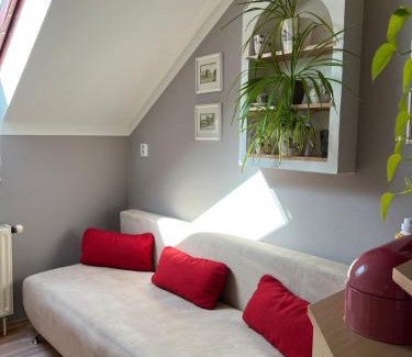 Suchdol nad Luznici House | Apartmán u Míši
