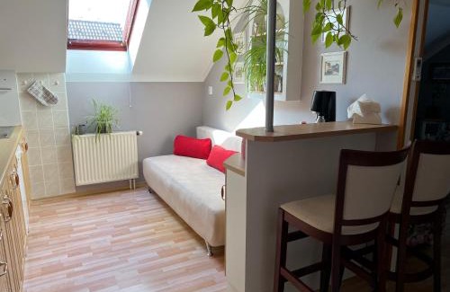 Suchdol nad Luznici House | Apartmán u Míši