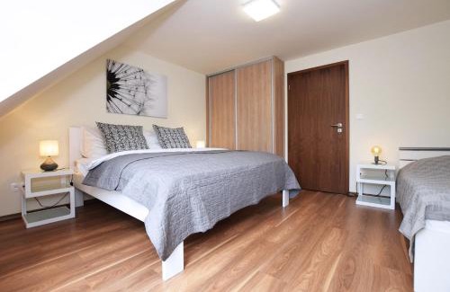 Ricky v Orlickych horach Apartment | Apartmán U Sikorek