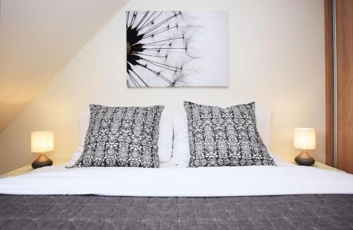 Ricky v Orlickych horach Apartment | Apartmán U Sikorek