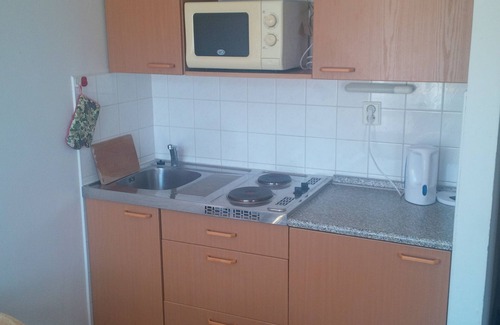 Rokytnice nad Jizerou Apartment | Apartmány Andy