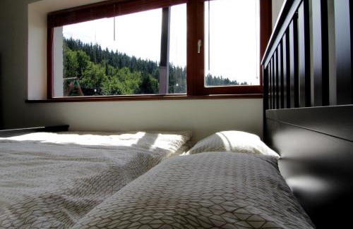 Rokytnice nad Jizerou Apartment | Apartmány Chata Švadlenka