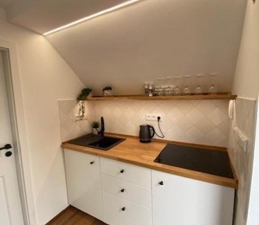 Frydek-Mistek House | Apartmány F-M