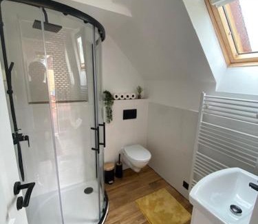 Frydek-Mistek House | Apartmány F-M