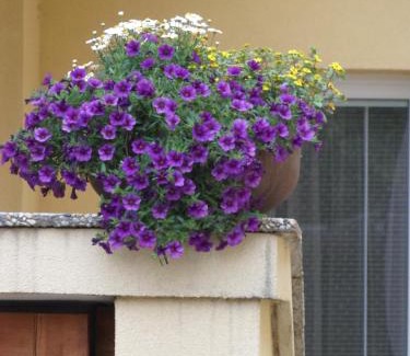 Liptovsky Mikulas Apartment | Apartmány Lea