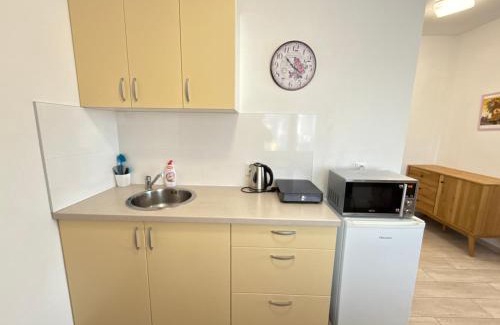 Frydek-Mistek Apartment | Apartmány LETO