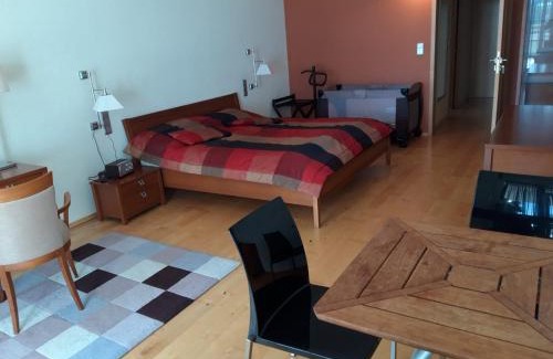 Senec Apartment | Apartmány Puerto