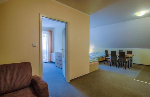 Rokytnice nad Jizerou Apartment | Apartmány Sport with Garage