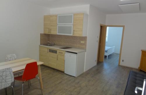 Starovice Apartment | Apartmány Starovice