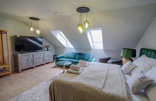 Bechyne Apartment | Apartmány U Devíti Lvů