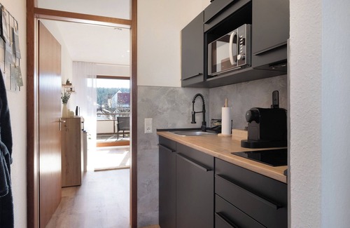 Schoenwald Apartment | Apartment 'Fw Moonlight Mit Sauna, Schwimmbad' with Mountain View, Balcony and Wi-Fi