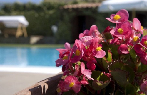 San Pietro in Bossolo Apartment | Apartment ∙ 3 guests