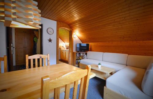Kranjska Gora Apartment | Apartma Židan