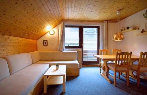 Kranjska Gora Apartment | Apartma Židan