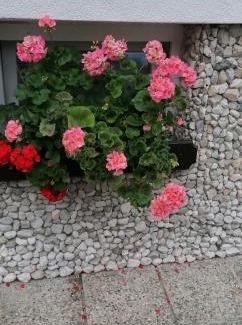 Ratece Apartment | Apartma Arh