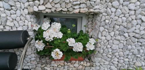 Ratece Apartment | Apartma Arh