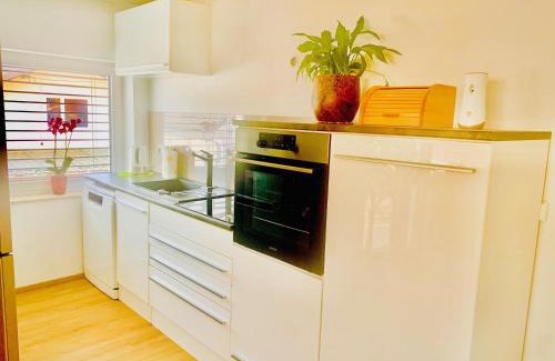 Maribor Apartment | Apartma FRIGO
