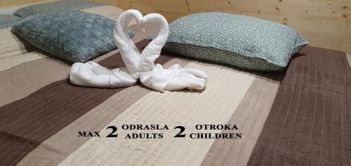 Ljutomer House | Apartma, glamping Na koncu vasi