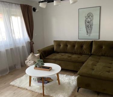 Ptuj Apartment | Apartma Luka