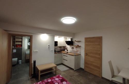 Kamnik Apartment | Apartma Mamut 1850