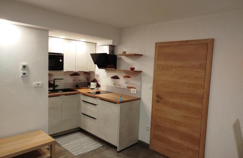 Kamnik Apartment | Apartma Mamut 1850