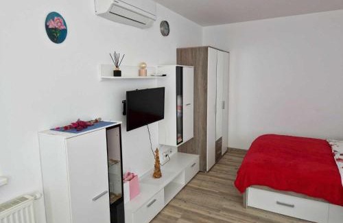 Moravske Toplice Apartment | Apartma Petja