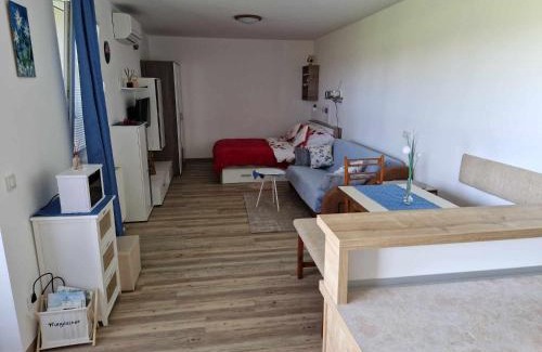 Moravske Toplice Apartment | Apartma Petja