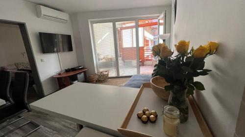 Moravske Toplice Apartment | Apartma Rakita