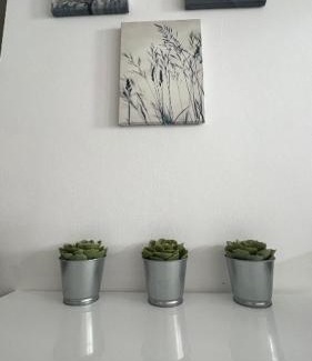 Moravske Toplice Apartment | Apartma Rakita