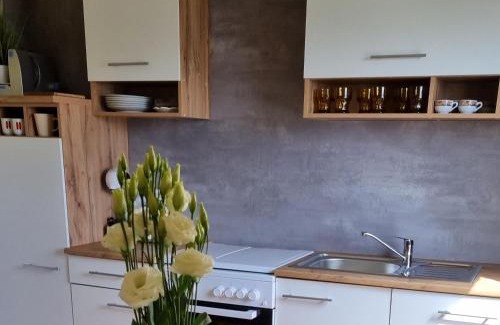 Kamnik Apartment | Apartma Tanja -Kamnik