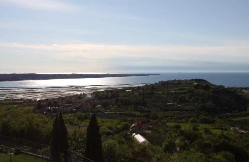 Seca Apartment | Apartma Viktorija