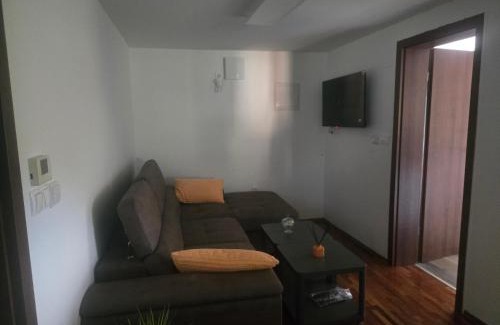 Smarje pri Jelsah Apartment | Apartmaji Beli Jelen